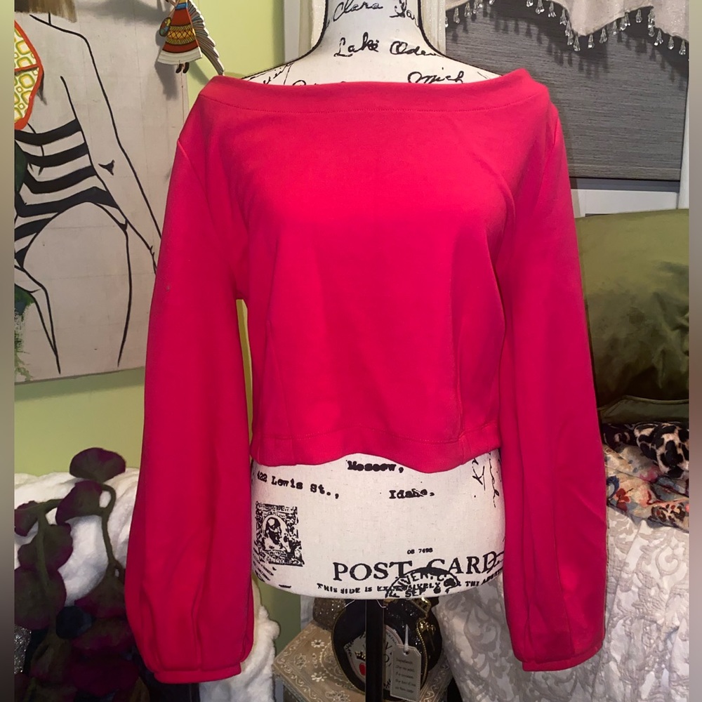 Pink Sweatshirt